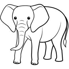 African elephant isolated on white background