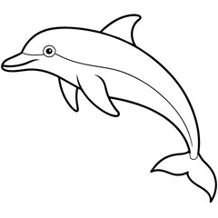 dolphin isolated on white background