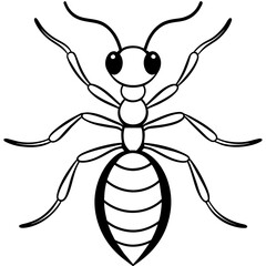 illustration of a ant