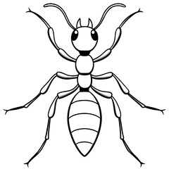 illustration of a ant 