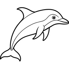 dolphin isolated on white background