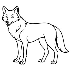 illustration of a coywolf