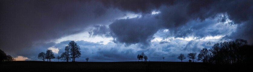 Panoramic of silhouette of trees against a blue cloudy sky
