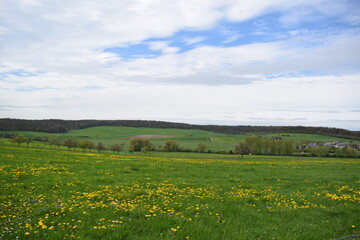 blooming landscape in rural Luxembourg during springtime