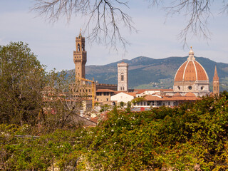 Italia, Toscana, Firenze,  il giardino della Villa Bardini e panorama su Firenze. - 783658026