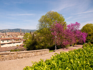 Italia, Toscana, Firenze,  il giardino della Villa Bardini e panorama su Firenze. - 783658229