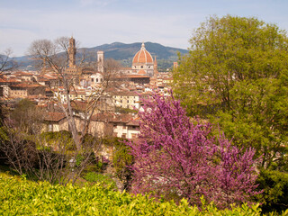 Italia, Toscana, Firenze,  il giardino della Villa Bardini e panorama su Firenze. - 783658442