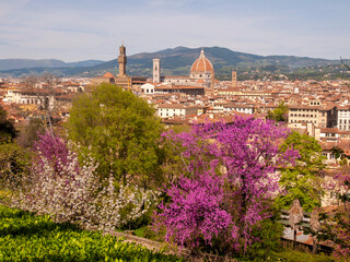 Italia, Toscana, Firenze,  il giardino della Villa Bardini e panorama su Firenze. - 783658648