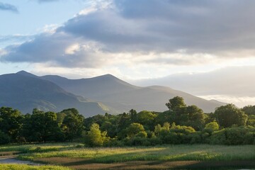 Obraz premium Scenic shot of trees and mountains in Killarney National Forest, Ireland with sunlight