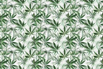 Cannabis leaves seamless pattern in shades of green and white
