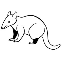 illustration of a squirrel