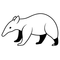 polar bear illustration