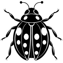 black and white beetle
