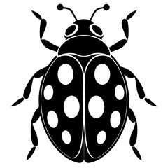 ladybird illustration