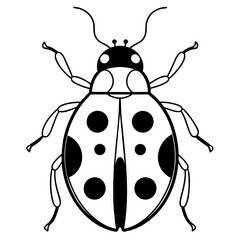ladybird illustration