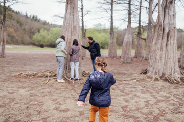 Obraz premium Happy family walks among huge cypress trees. Mom, dad and female teenager touch trunk of tree. Little cute girl runs to her parents and sister. Beatiful nature on background. Copy space.