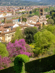 Italia, Toscana, Firenze,  il giardino della Villa Bardini e panorama su Firenze. - 783662460