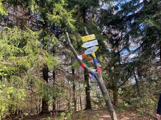 Naklejka premium kierunkowskazy na górskiej ścieżce z rzędami flag