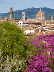 Italia, Toscana, Firenze,  il giardino della Villa Bardini e panorama su Firenze. - 783665474