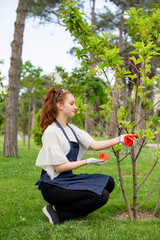 Side view of girl with red hair working in garden, touching bushes. Concept of taking care of nature.