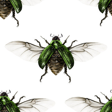 Vintage style beetle seamless pattern. Watercolor painted illustration. Hand drawn beautiful green bug element. Vintage style beetle with spread wings seamless pattern on white background