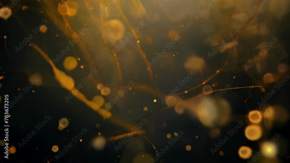 Aufkleber a zoomedin shot of a sporangium releasing its spores with each tiny particle looking like a sparklin