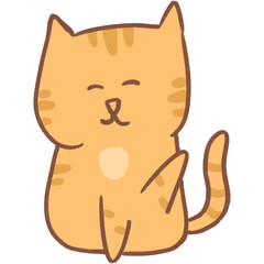 Orange cat cute emotion