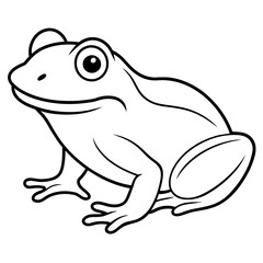 frog on white background