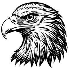 eagle head vector