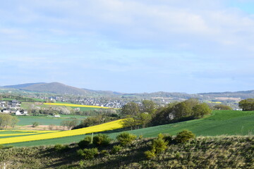 spring green and yellow blooming hills with small town Mendig in background