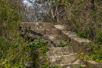 the remains of a concrete staircase overgrown with forest in a dilapidated villa on a sunny spring day