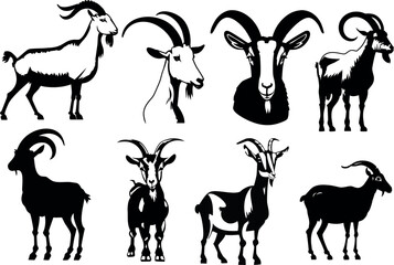 Goat bundle