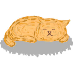 Orange cat cute emotion