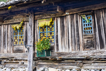 Old wooden house in the village Ghunsa in the Kanchenjunga region, Nepal, with flowers in the front. Ghunsa is a station on the Kanchenjunga Base Camp trek as well as on the Great Himalaya Trail (GHT) - 783681002