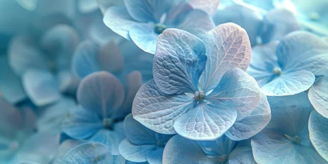 Fototapeten Serene Blue Hydrangea Blossoms - Nature's Tranquil Beauty © smth.design