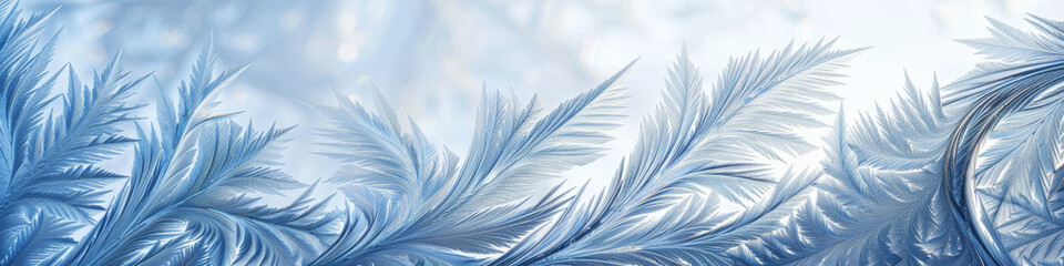 Fototapeta na wymiar Winter's Touch: Frost Feathers on Glass in Cool Blue Hues