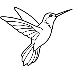 For T-shirt Design Vector hummingbird in flight- Vector - Vector art - Vector illustration - Vector design - Latest Vector - Ultimate Vector - Premium Vector - Vector pro