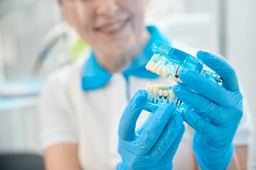 Woman dental hygienist holding transparent model of teeth