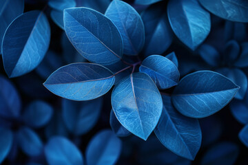 Obraz premium Blue Leaves Background with Vibrant Nature Detail