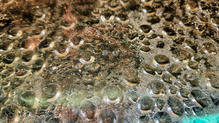 water drops on the surface of water