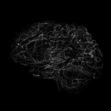 Wireframe model of a human brain, representing its complex neural network structure.