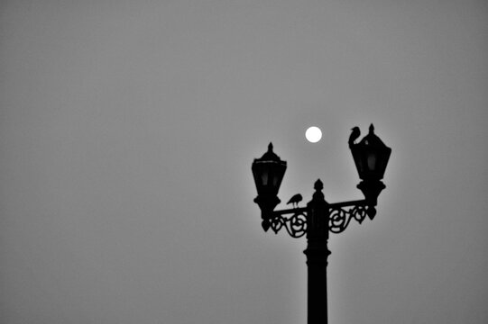 Full moon, Two crows sitting on antique light pole, Gateway of India, Apollo Bunder, Colaba, Bombay, Mumbai, Maharashtra, India, Asia