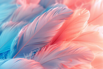 Fototapeta na wymiar Abstract Color Gradient Feathers Background in Pastel Tones