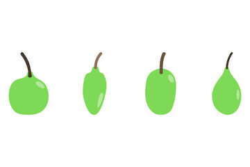 Fruit set icon. Food vector