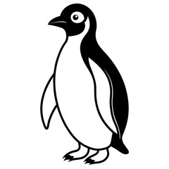penguin on a white