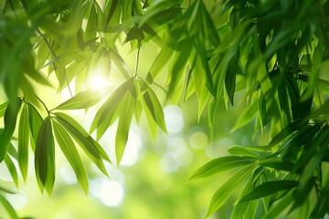 Fototapeta na wymiar Bamboo leaves with sunlight filtering through, vibrant details, lively green, refreshing spa wallpaper