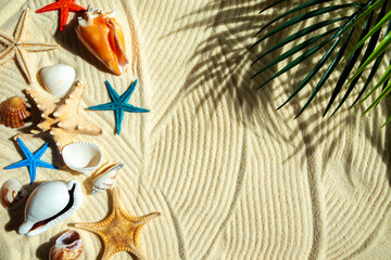 Colored starfish and shells on white wavy fine sand.