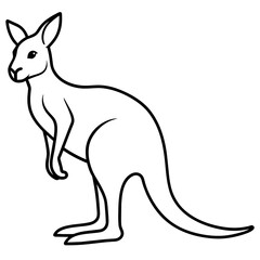 kangaroo vector illustration