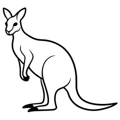 kangaroo vector illustration
