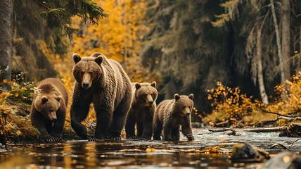Foto op Aluminium A Family of Brown Bears Fishing in a River © Huzaifa